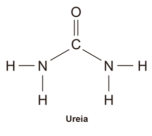 Fórmula estrutural da Ureia: Um átomo de carbono central (C) fazendo uma ligação dupla com um átomo de oxigênio (O) acima dele, e duas ligações simples com dois átomos de nitrogênio (N) nas laterais. Cada nitrogênio faz ligações simples com dois átomos de hidrogênio (H).