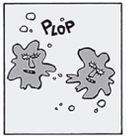 Segundo quadrinho. A ameba do primeiro quadrinho sofre divisão celular, separando-se em duas metades com a onomatopeia 'PLOP'.