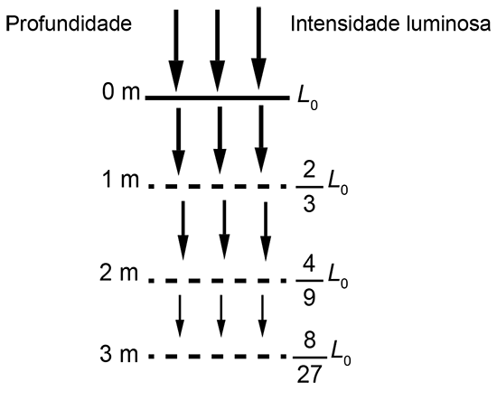 Esquema mostrando a variação da intensidade luminosa com a profundidade da água. Em 0 m, a intensidade é L_0. Em 1 m, é (2/3)L0. Em 2 m, é (4/9)L0. Em 3 m, é (8/27)L0.