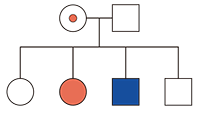 Heredograma exibindo o cruzamento entre uma mulher portadora (círculo com ponto vermelho) e um homem não daltônico (quadrado branco). Na linha dos descendentes, há quatro símbolos: um círculo branco, um círculo vermelho, um quadrado azul e um quadrado branco.