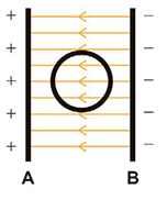 Alternativa B. Duas barras verticais paralelas: a barra A, com sinais positivos, à esquerda, e a barra B, com sinais negativos, à direita. No centro, há um cilindro metálico oco visto de cima, representado por um círculo. Linhas retas e horizontais com setas apontando da barra B para a barra A atravessam todo o esquema. Essas linhas passam diretamente pelas paredes do cilindro e preenchem o seu interior oco, sem sofrer qualquer desvio ou interrupção.