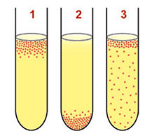 Ilustração de três tubos de ensaio contendo meio de cultura líquido, numerados de 1 a 3 da esquerda para a direita. O crescimento bacteriano é representado por pequenos pontos. No tubo 1, os pontos estão concentrados exclusivamente na camada superficial do líquido, próxima à abertura do tubo. No tubo 2, os pontos estão concentrados exclusivamente no fundo do tubo. No tubo 3, os pontos estão distribuídos por todo o volume do líquido, espalhados desde a superfície até o fundo.