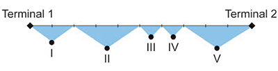 Esquema ilustrativo de uma linha reta horizontal representando o trajeto entre o 'Terminal 1' (na extremidade esquerda) e o 'Terminal 2' (na extremidade direita). Abaixo dessa linha reta, há cinco regiões sombreadas na cor azul em formato de triângulos invertidos, adjacentes umas às outras, cobrindo a totalidade do percurso. Essas regiões são identificadas pelos algarismos romanos I, II, III, IV e V, representando o campo de visão sequencial de cada uma das cinco câmeras ao longo do trajeto.