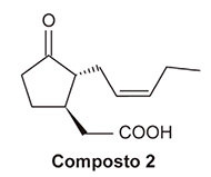 Estrutura química do Composto 2. A molécula apresenta um anel de cinco carbonos (ciclopentano). Um dos carbonos do anel possui uma ligação dupla com um átomo de oxigênio (grupo carbonila). A partir de carbonos distintos desse anel, partem duas ramificações (cadeias laterais): a primeira ramificação contém uma ligação dupla entre carbonos (insaturação); a segunda ramificação é uma cadeia carbônica saturada que termina explicitamente com o agrupamento -COOH.