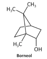 Representação estrutural da molécula de borneol em bastões (tridimensional). Trata-se de uma estrutura bicíclica. Observa-se um grupo hidroxila (-OH) ligado a um dos carbonos do anel. Há também três grupos metil (representados por H3C ou CH3) ligados à estrutura principal de carbono.